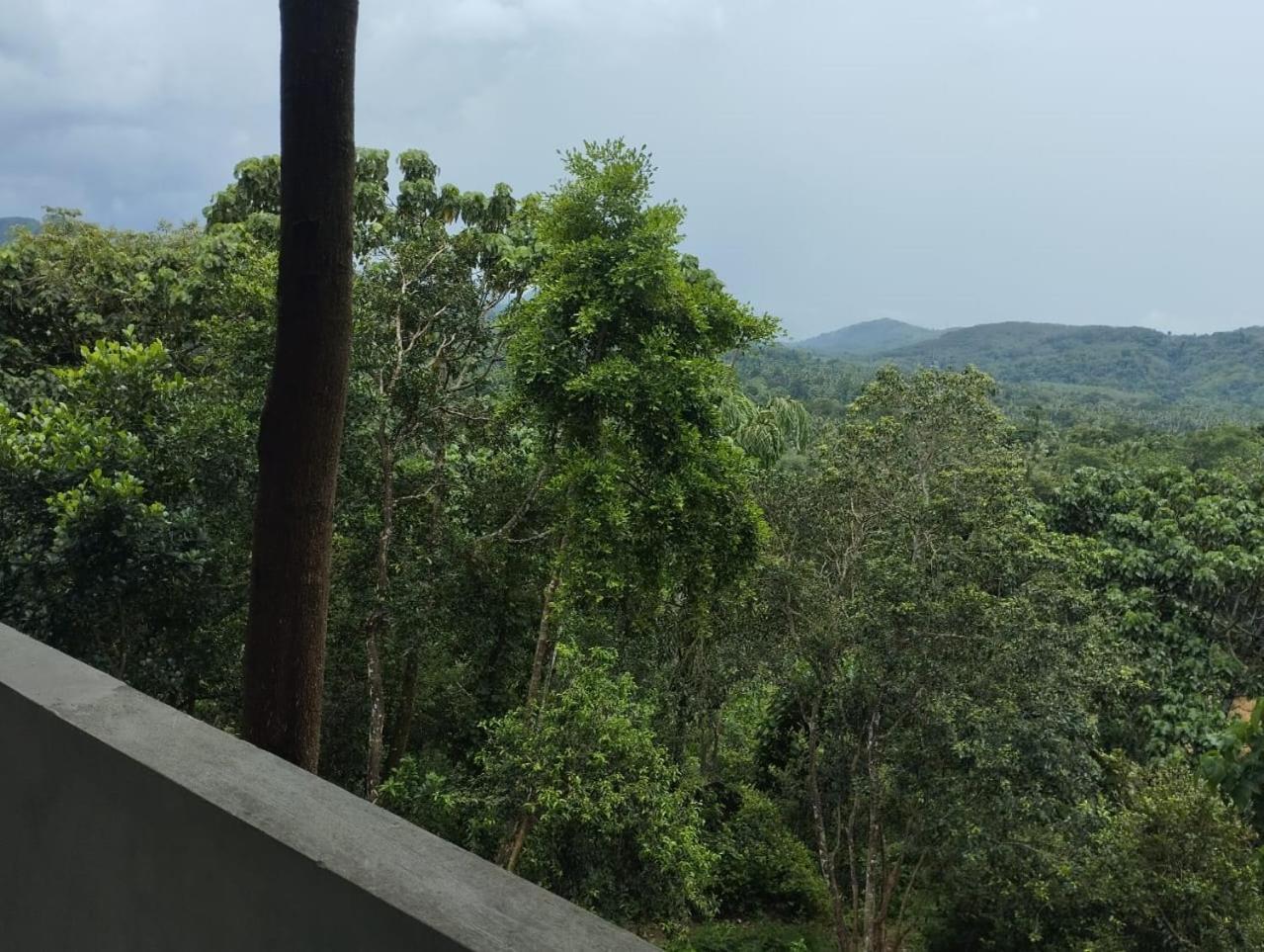 Bogala Village Eco Resort كيجاللا المظهر الخارجي الصورة